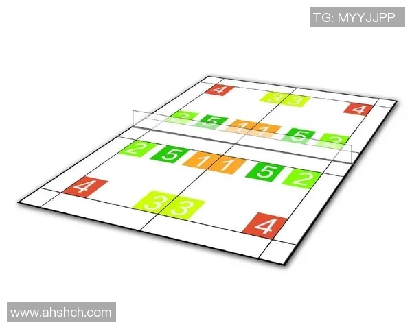 杭州羽毛球队的节奏体系与战术运用探讨